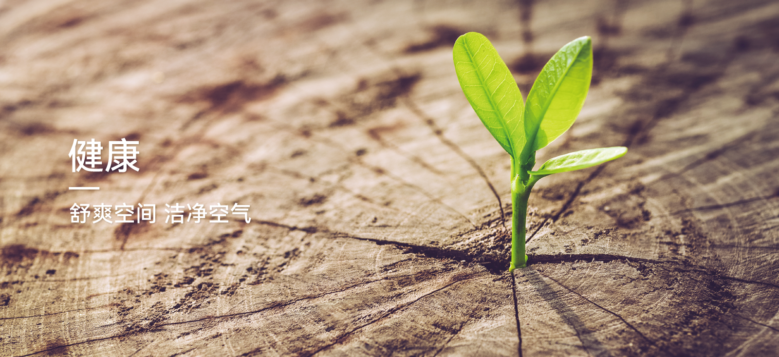 恒温恒湿恒氧恒洁恒静系统